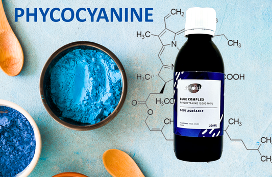 Blue ou Bleu de Méthylène Complex Phycocyanine 12000 mg/l